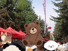 -东北农业大学