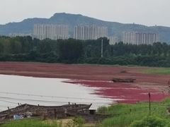 -辽宁团山国家级海洋公园