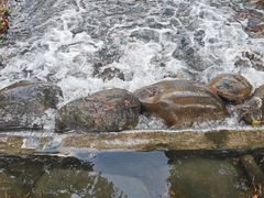 -尚贤河湿地