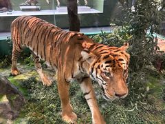 -国家自然博物馆