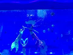 -石家庄极地海洋世界