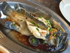 -真浪大家乐海鲜餐馆
