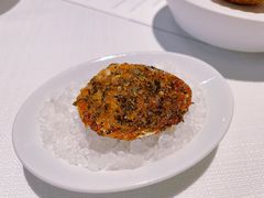 -态芮