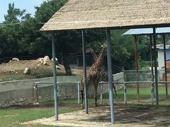 -西安秦岭野生动物园