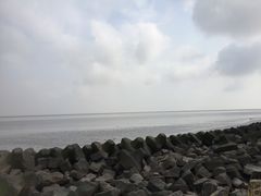 -南汇嘴观海公园