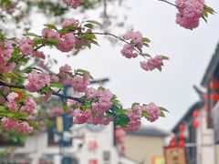 -木渎古镇