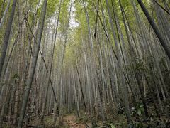-鸡枕山