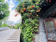 -台儿庄古城