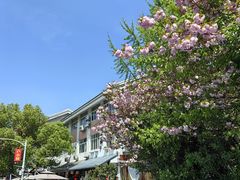 -卢小厨私房菜(长兴店)