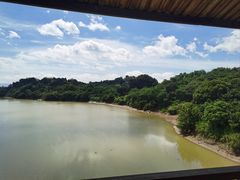 -福建鲤鱼洲酒店