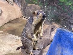 -正佳自然科学博物馆