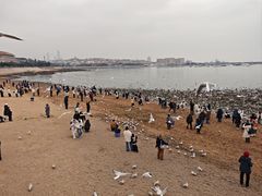 -青岛海滨风景区