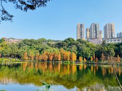 -重庆彩云湖湿地公园