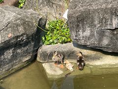 -广州神农草堂中医药博物馆