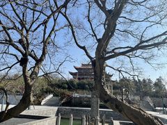 -冶父山国家森林公园