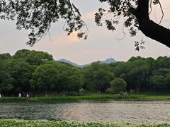 -西湖游船