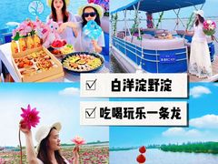 -白洋淀景区