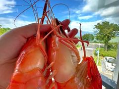 -品鲜村农家菜·阳澄湖大闸蟹(总店)