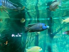 -秦皇岛新澳海底世界