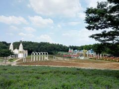 -松山湖梦幻百花洲
