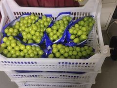 -西郊国际农产品交易中心
