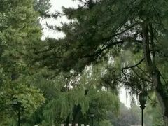 -钓鱼台国宾馆
