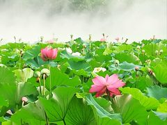 -黄兴公园