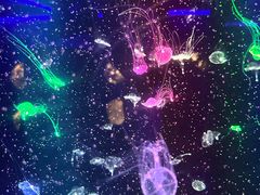 -海合安成都极地海洋公园