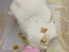 -糕小爱·动物奶油生日蛋糕定制(合肥总店)
