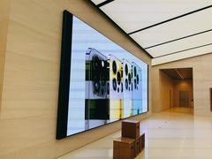 -Apple零售店(苏州店)