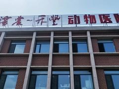 -派美特宠物医院·核磁CT·骨科肿瘤·疑难转诊(沈农禾丰店)