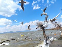 -捞渔河湿地公园