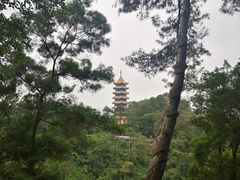 -白云山风景名胜区