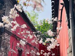 -潭柘寺景区