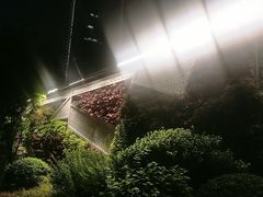 -西北湖绿化广场