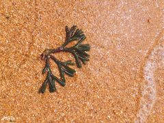 -雅逸居海鲜小厨