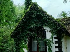 -上海共青森林公园