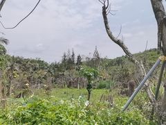 -洞背山庄(洞背院区式管理小区店)