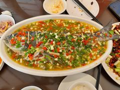 飞虹鱼-飞虹鱼馆(春华路店)