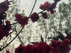 -南开大学(津南校区)