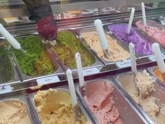 -鹤茶野所(上海首店)