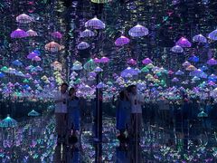-深圳独角兽星空艺术馆