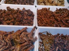 -张鸭子重庆特产卤味小吃(未来国际店)