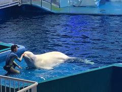 -福州罗源湾海洋世界旅游区