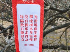 -白马涧龙池景区