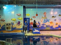 -太平洋海底世界