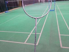 -东丽温泉羽毛球