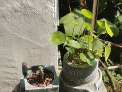 -美味之家·湖景农家乐(太湖东山店)