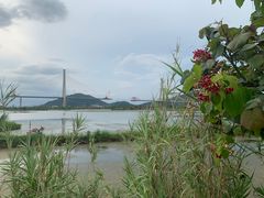 -芒洲湿地公园