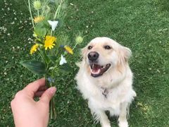 -马志善稀糊爛生熟肉店